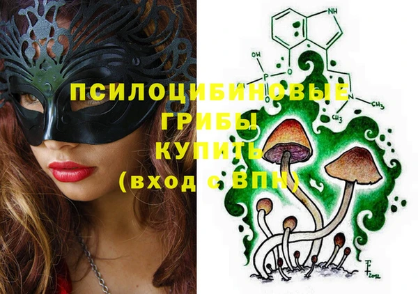 стафф Алексеевка
