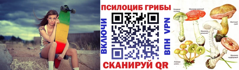 Псилоцибиновые грибы мицелий  mega ONION  Новотитаровская  хочу наркоту 