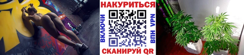 Конопля THC 21%  наркотики  Новотитаровская 